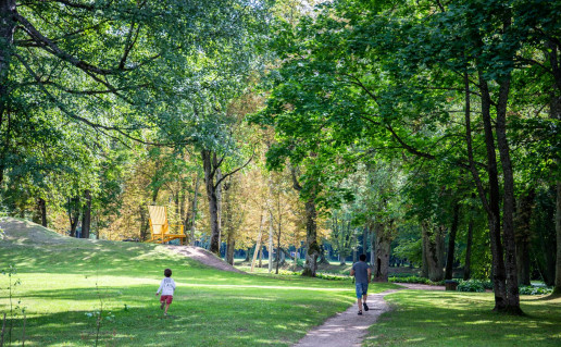 23_Raudon+s pa+intinis takas.jpg